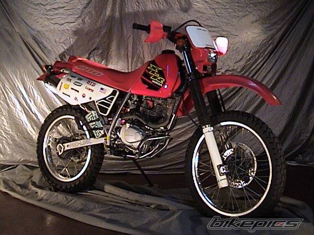 Photo 42002