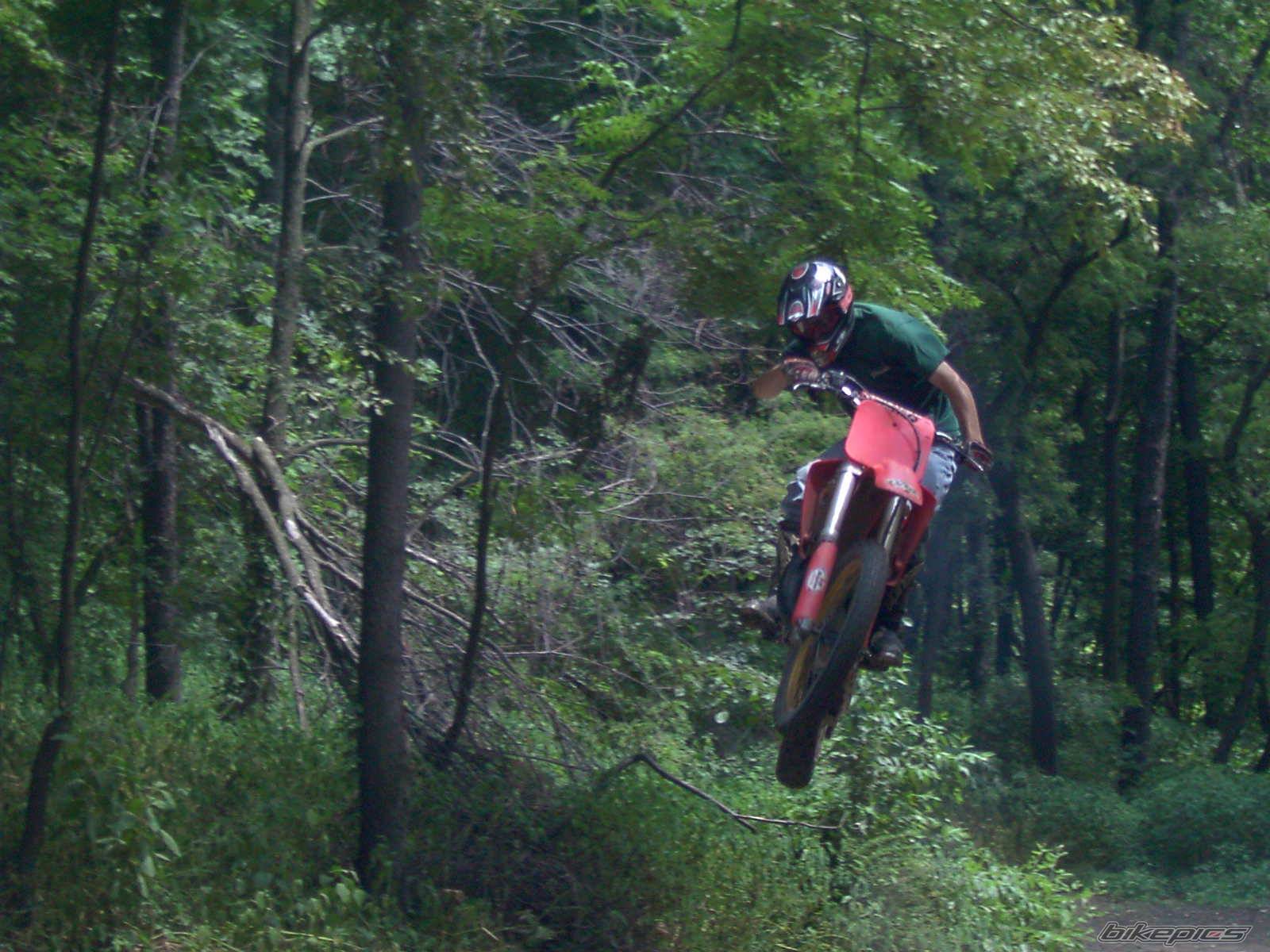 Photo 42009
