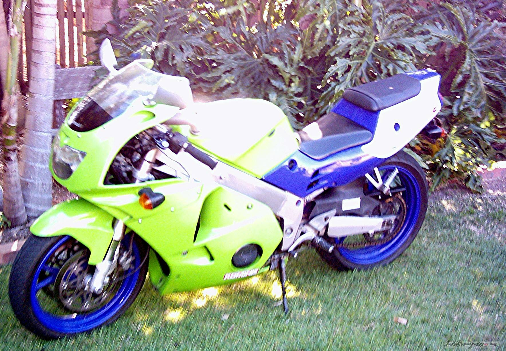 Photo 420325