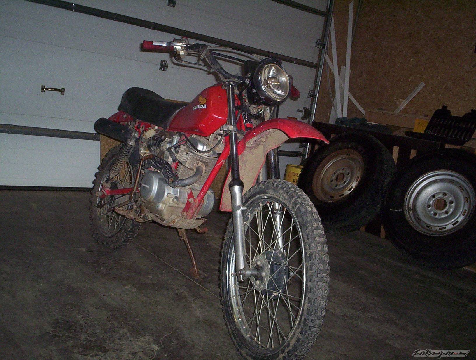 Photo 420351