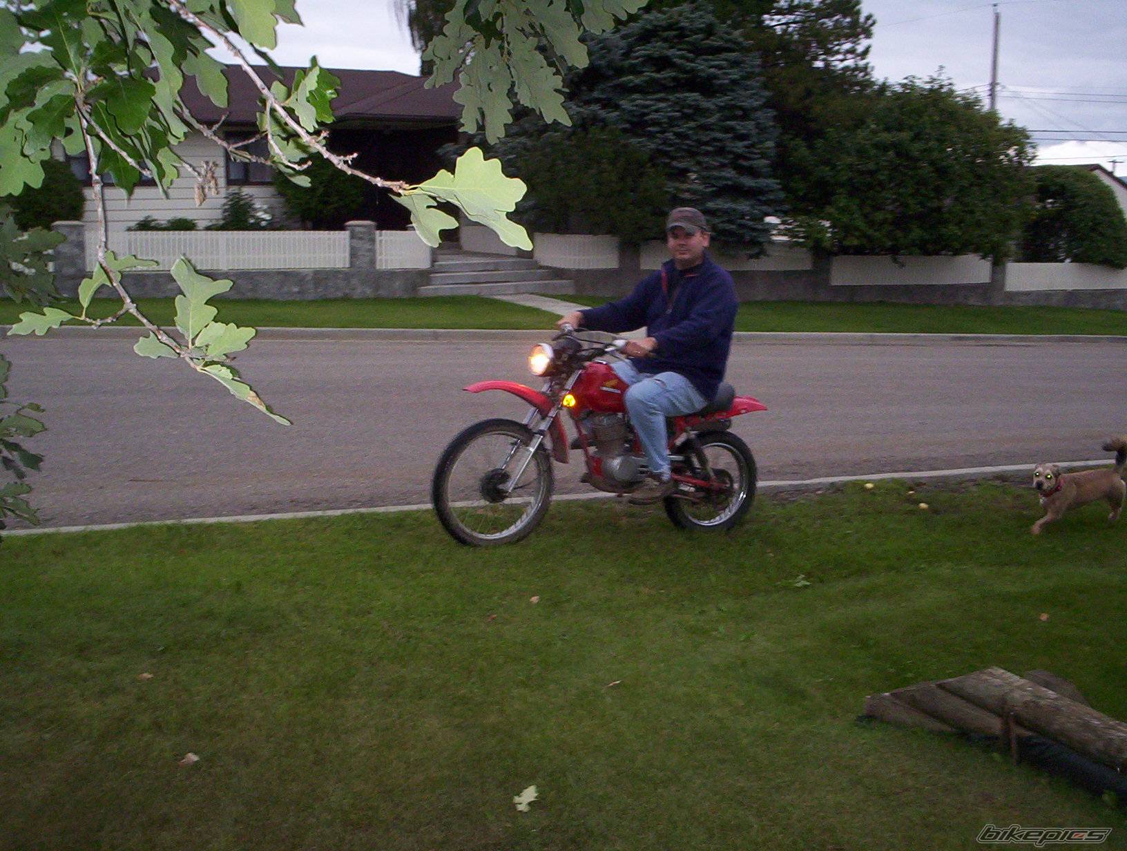 Photo 420359
