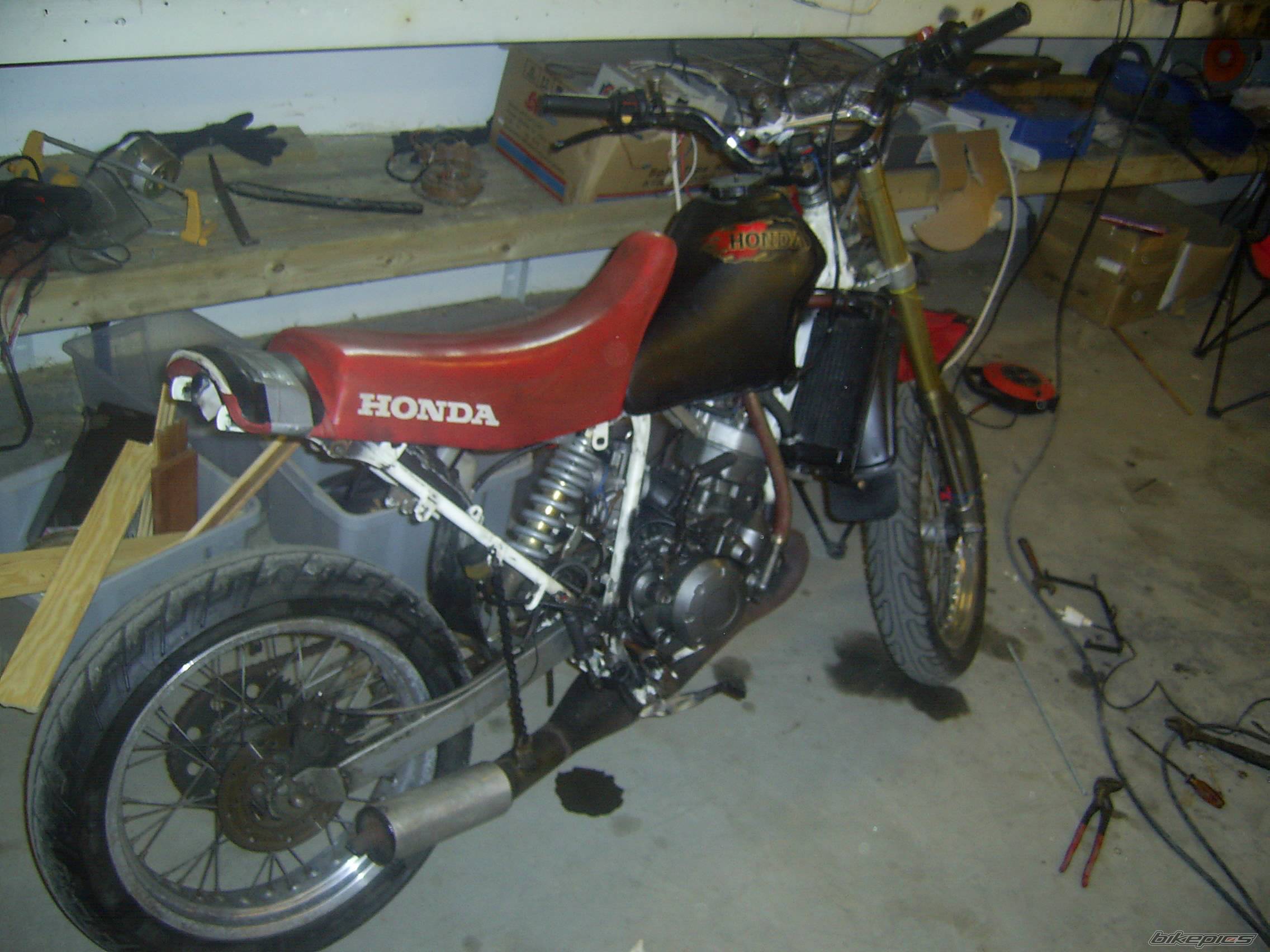 Photo 420457