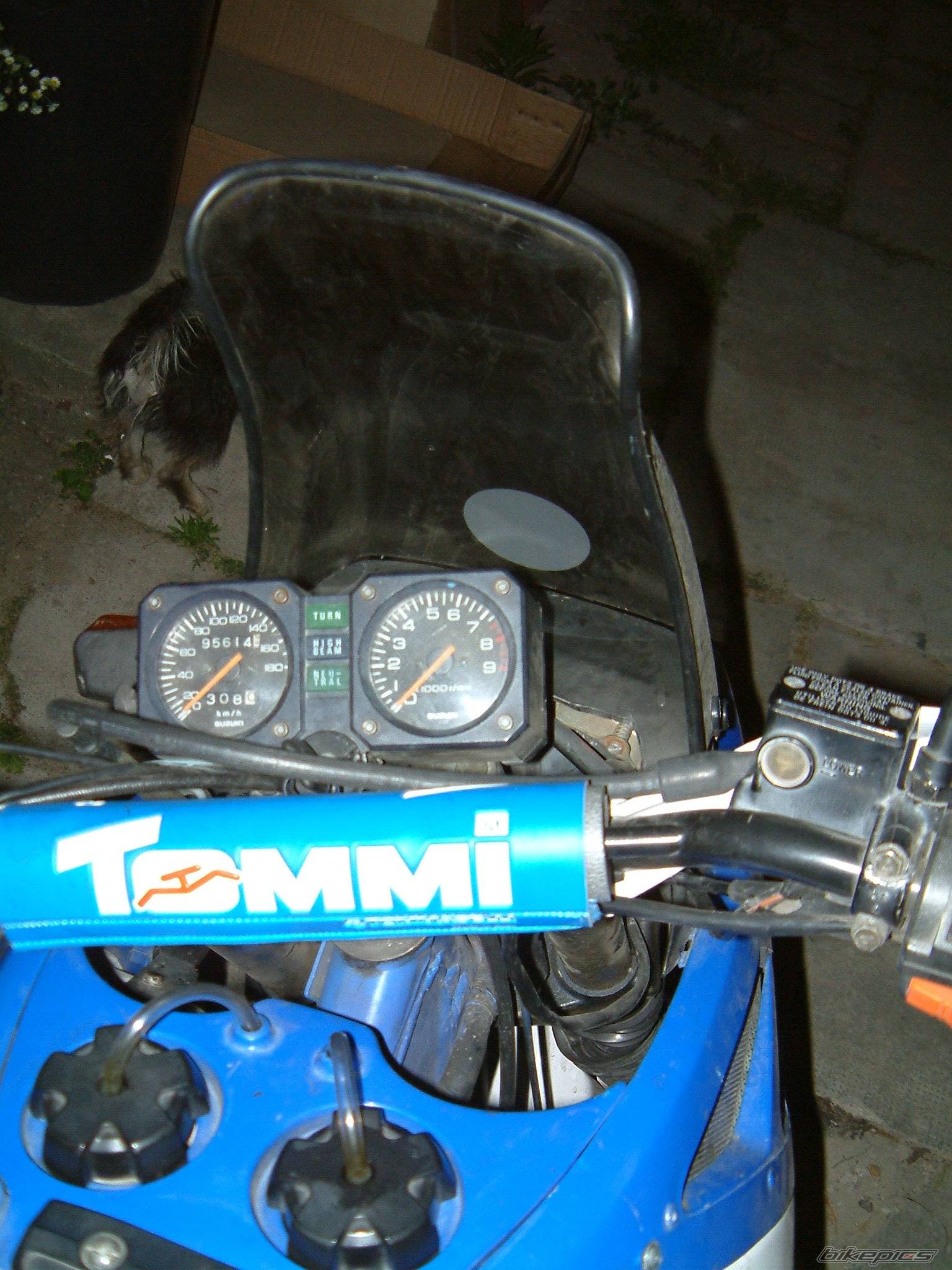 Photo 420482
