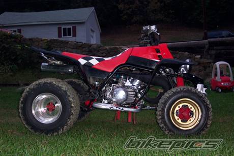 Photo 42051