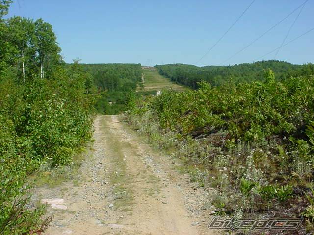 Photo 420575