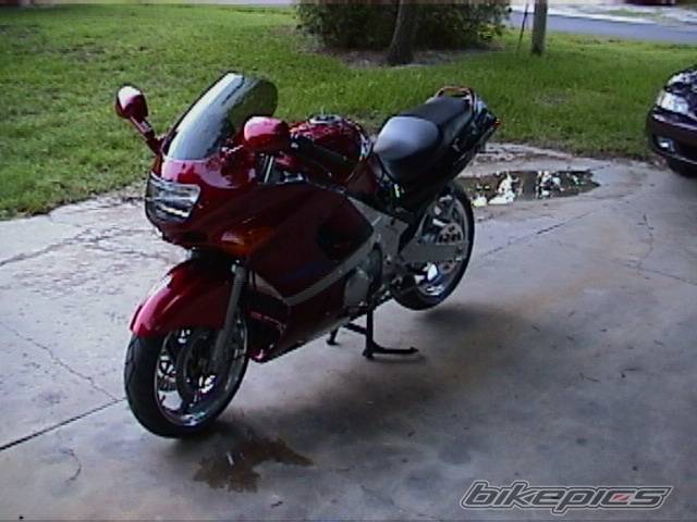 Photo 4206