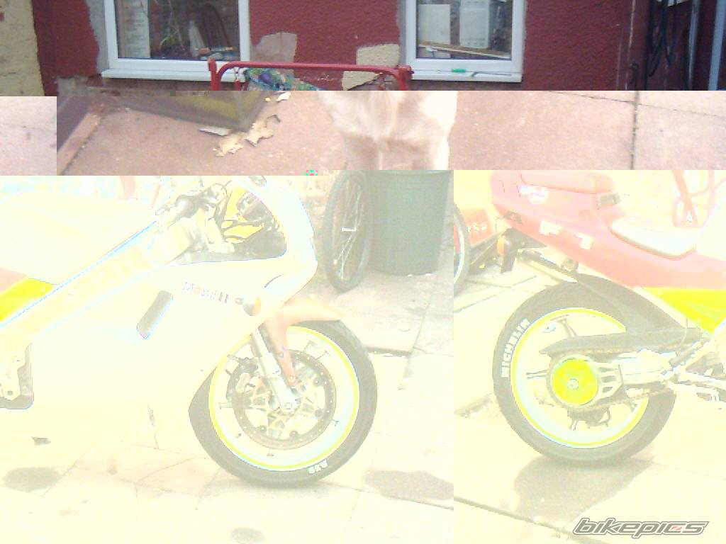 Photo 420635
