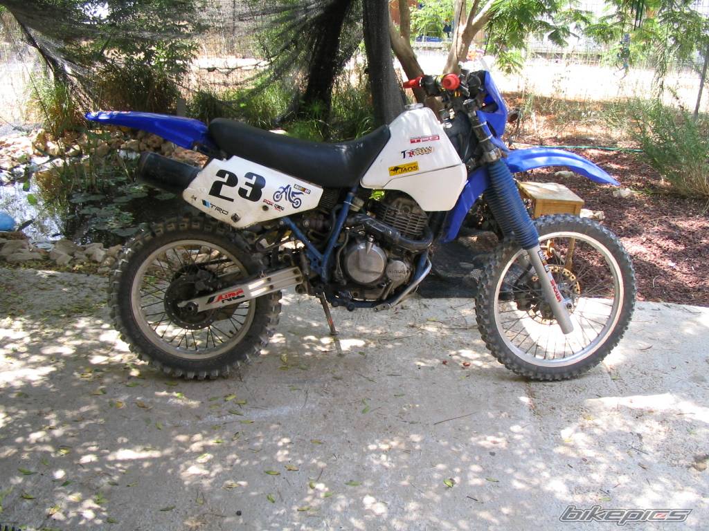 Photo 420654