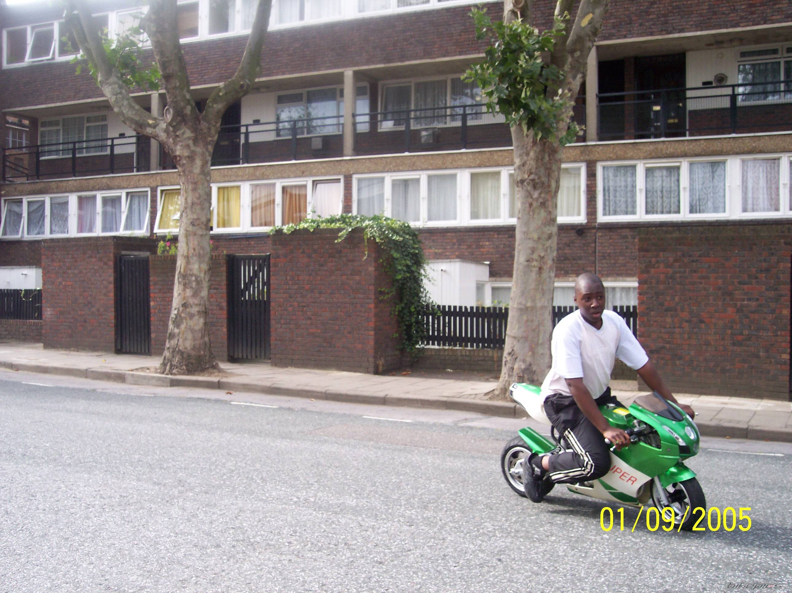 Photo 420755