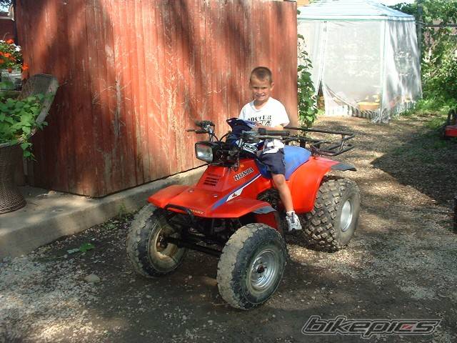Photo 420887