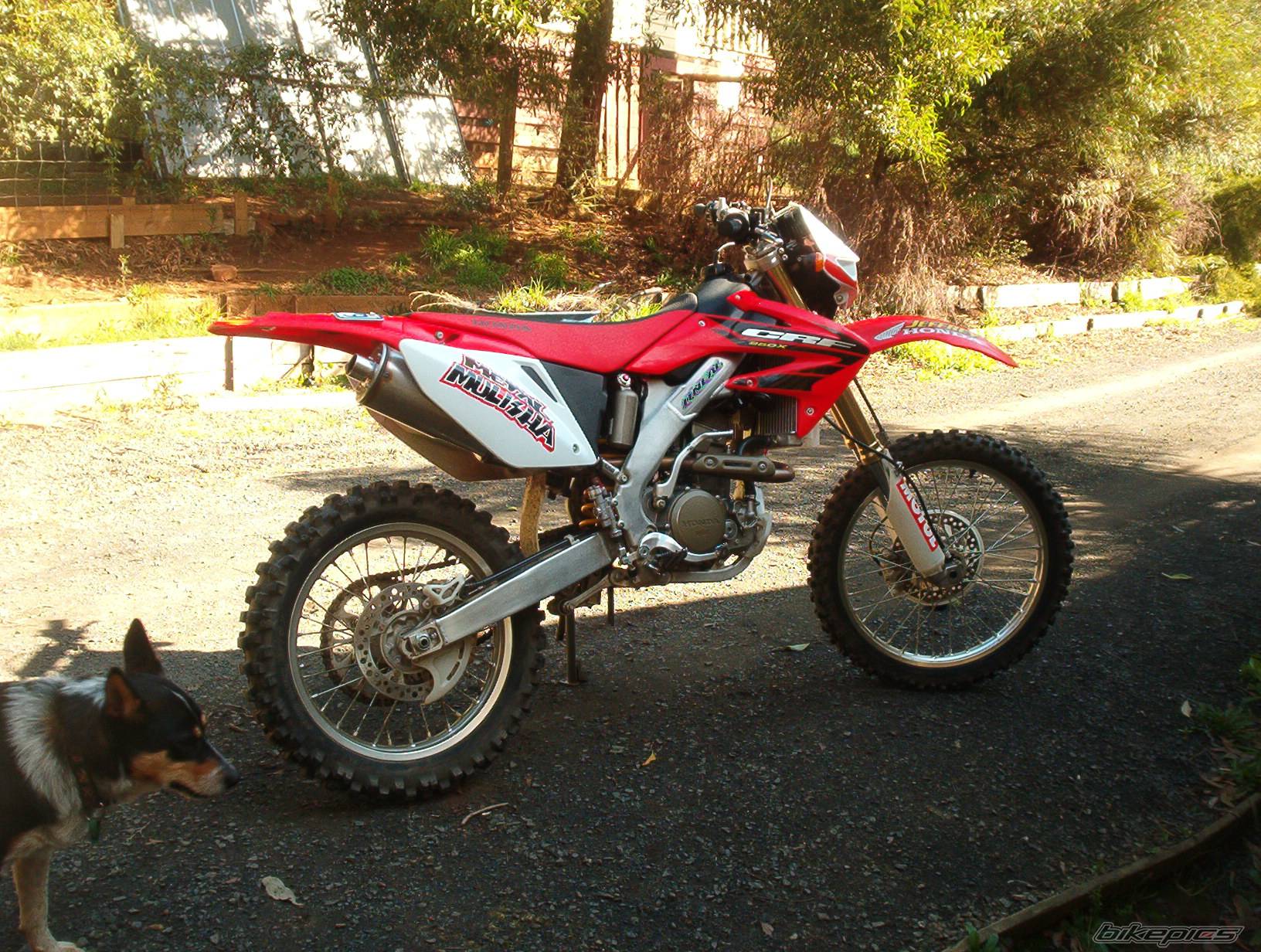 Bike Photo 420961