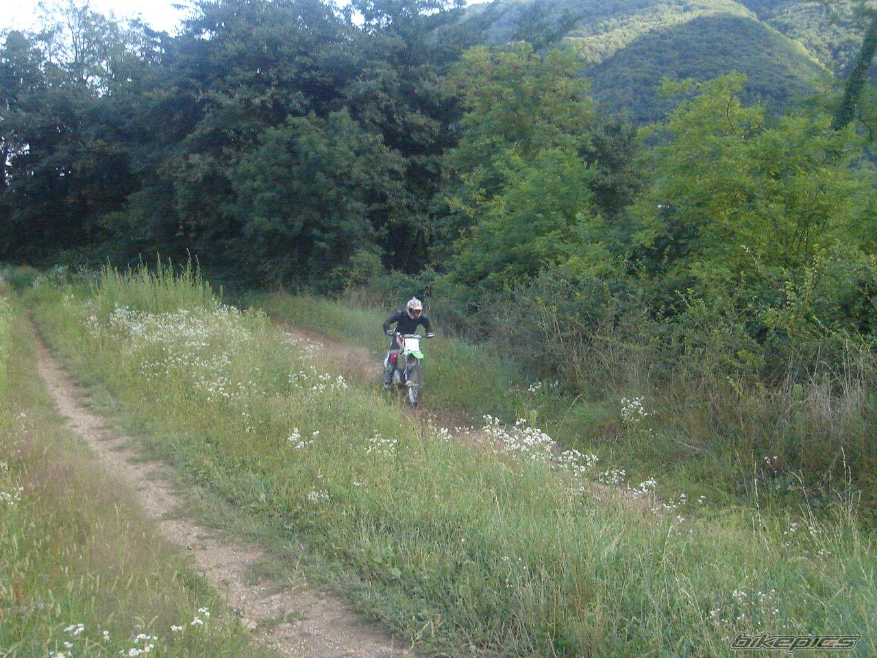 Bike Photo 421301