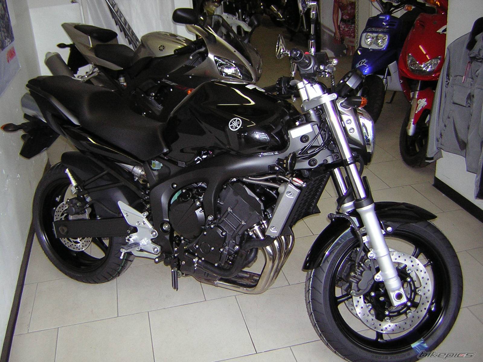 Bike Photo 421459