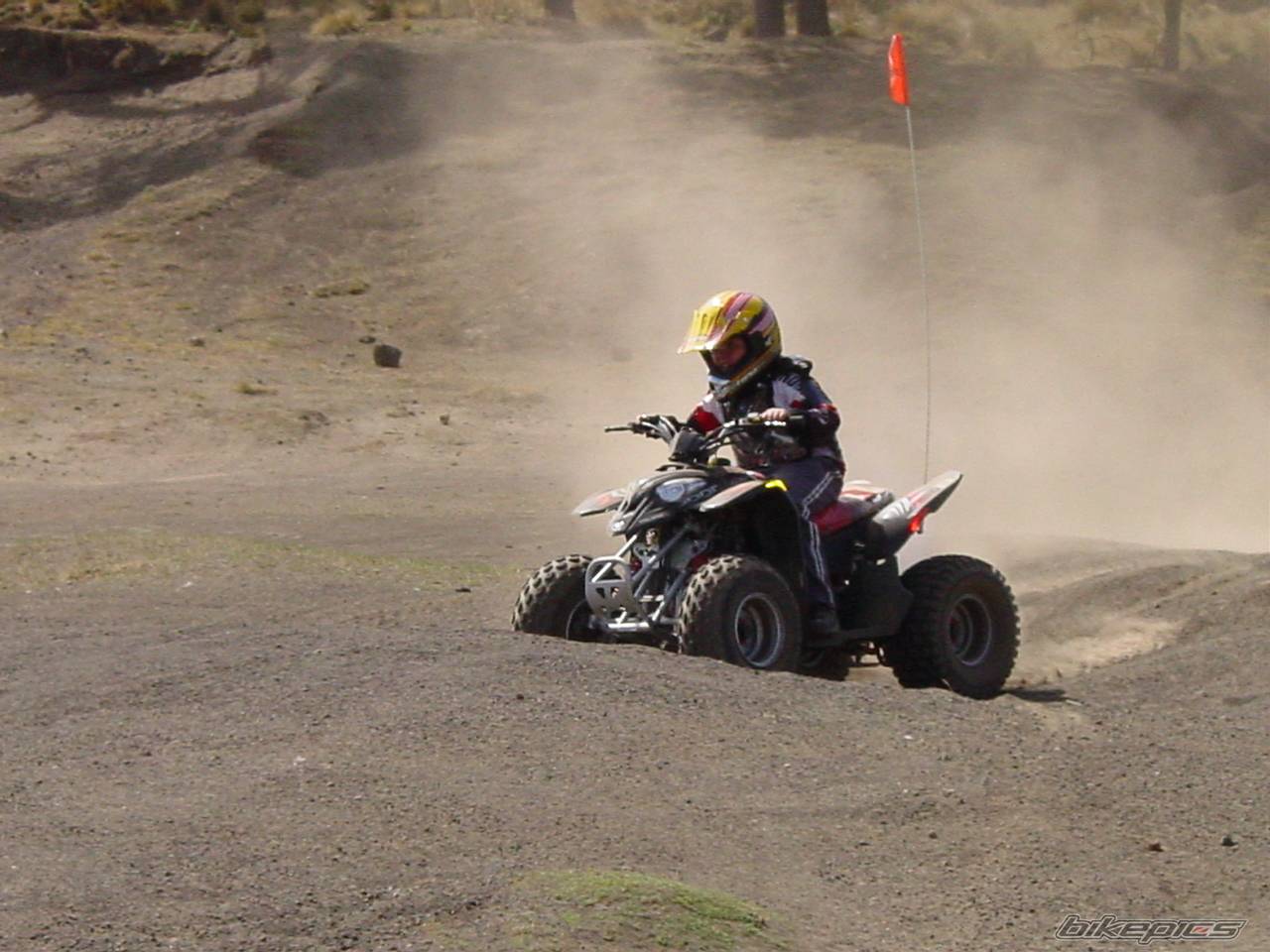 Bike Photo 421573