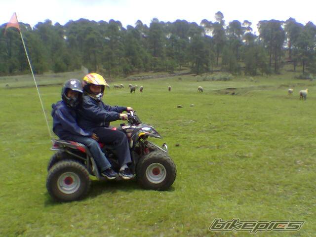 Bike Photo 421575