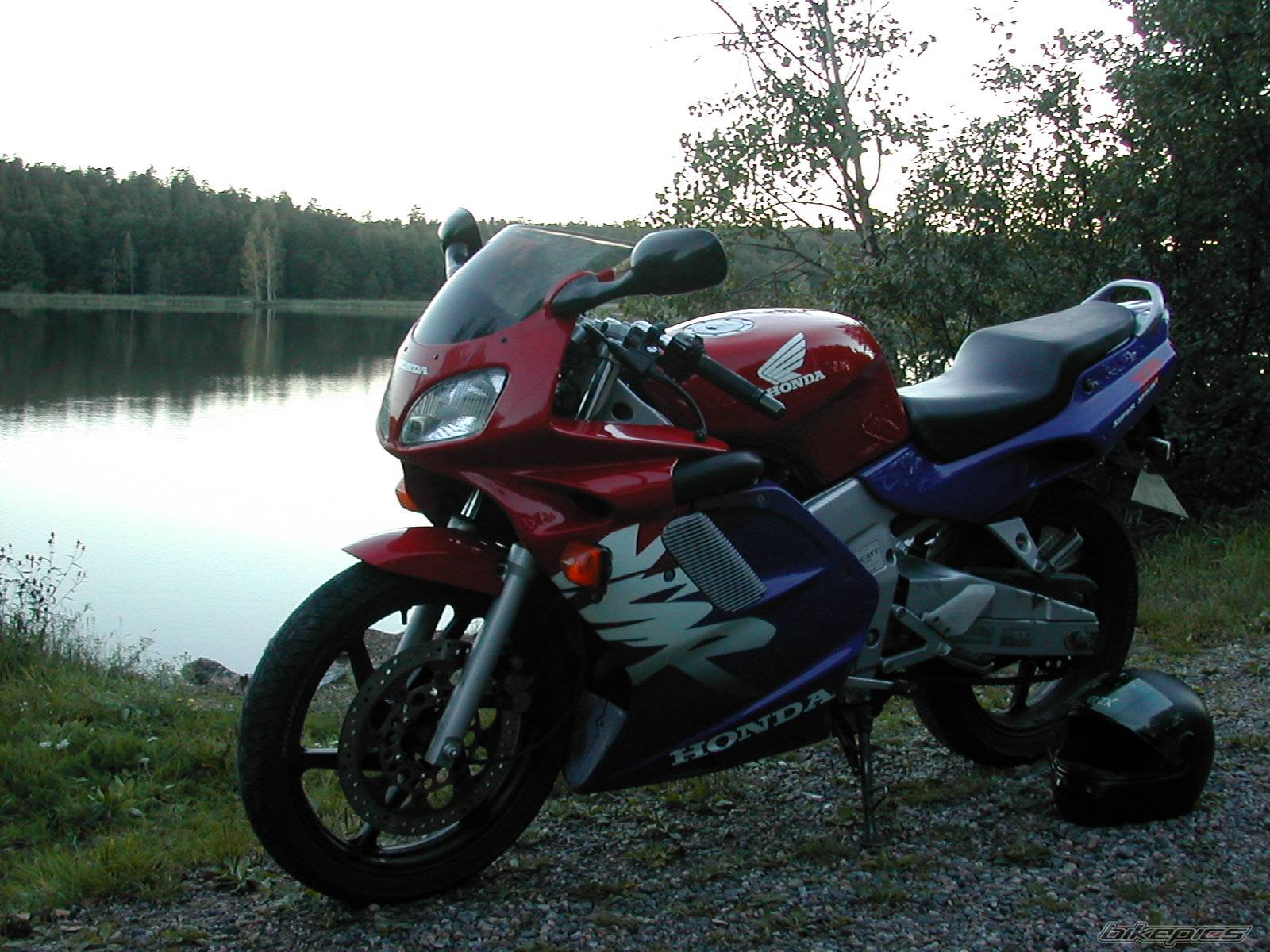 Photo 421751