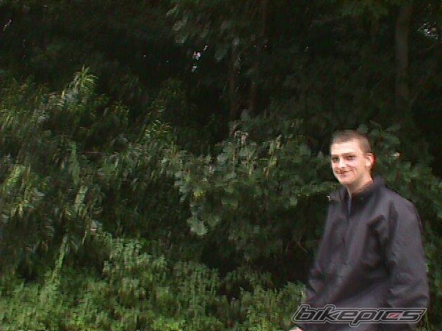 Photo 42176
