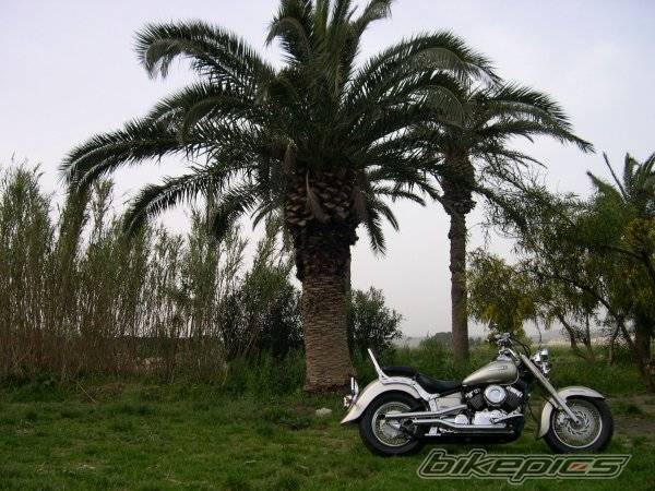 Photo 421769