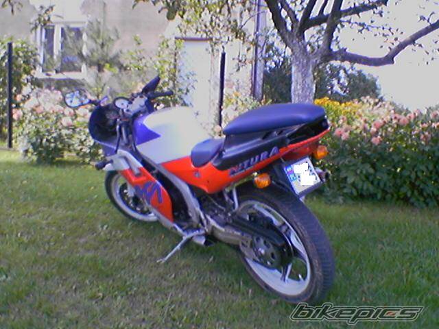 Photo 421780