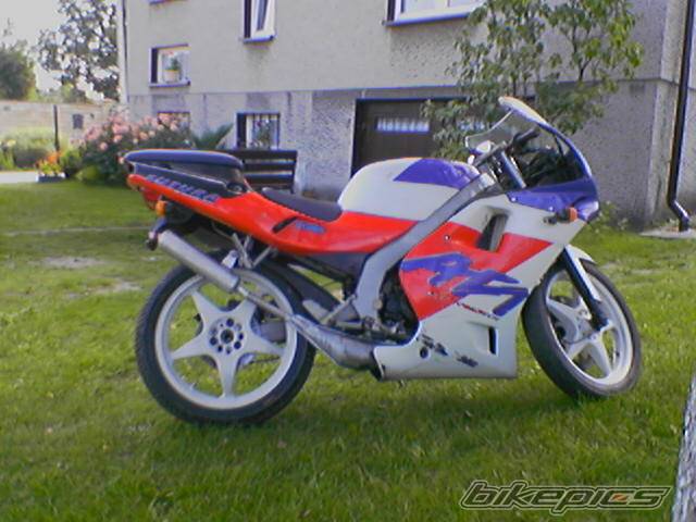 Photo 421781