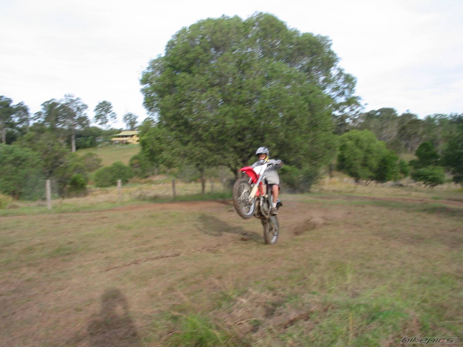 Bike Photo 421793