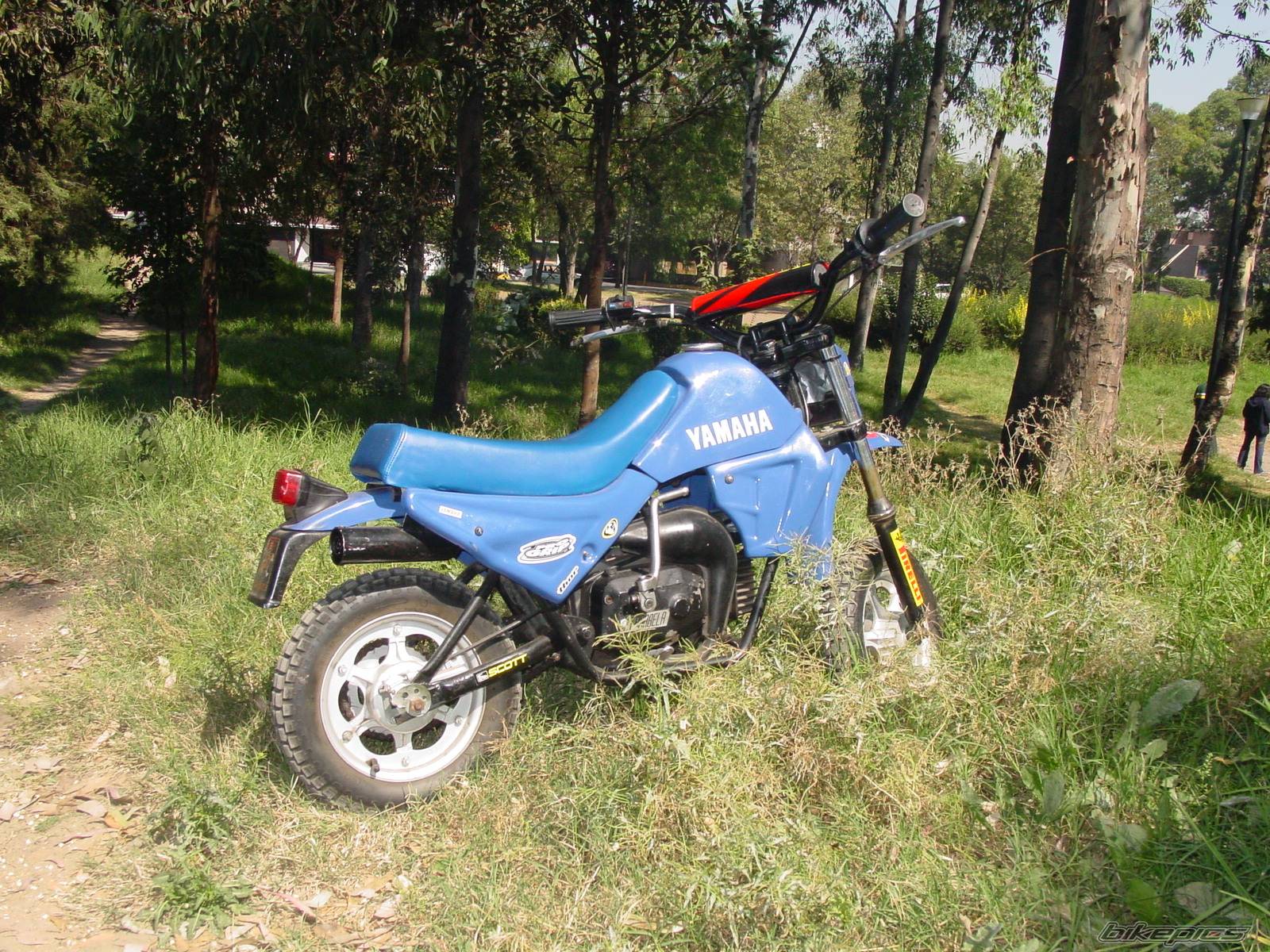 Photo 422225