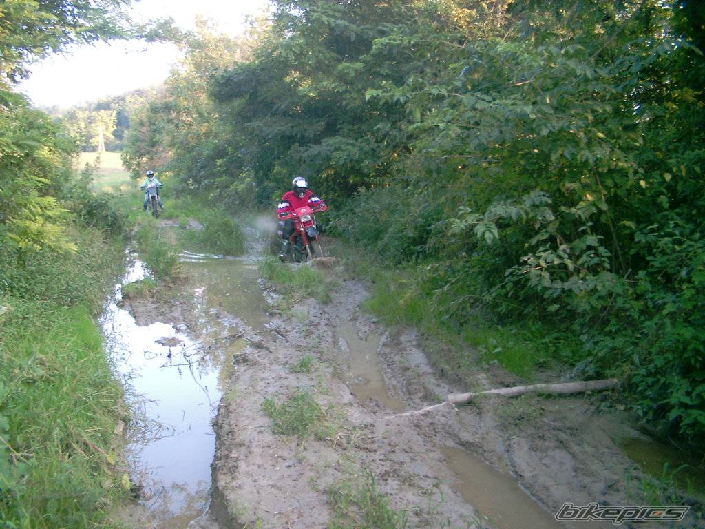 Photo 422365