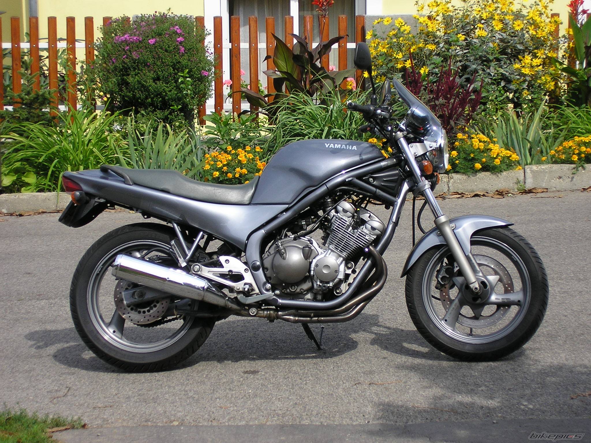 Bike Photo 422419