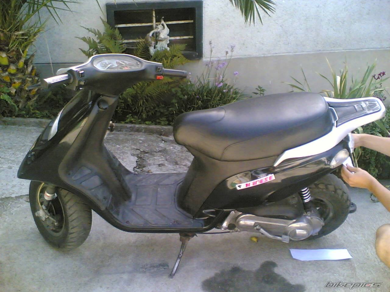 Photo 422429