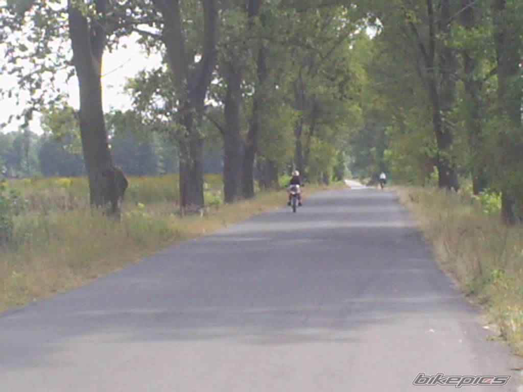 Photo 422451