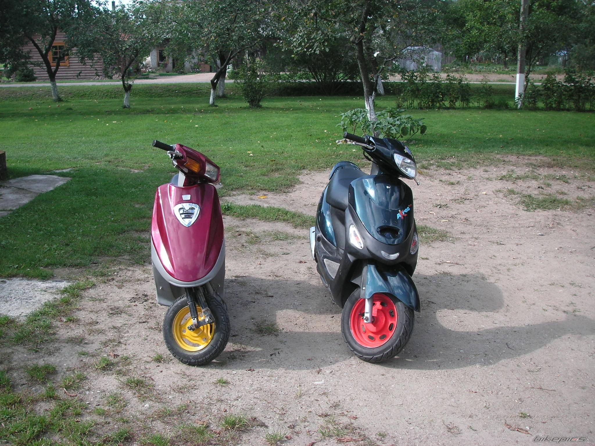 Photo 422751