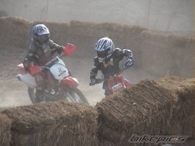 Photo 42276