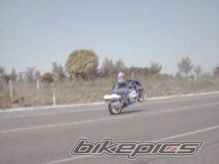 Photo 42281
