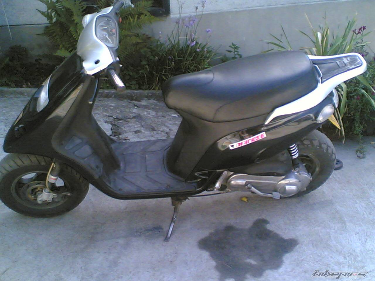 Photo 422834