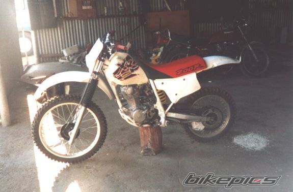 Photo 42293