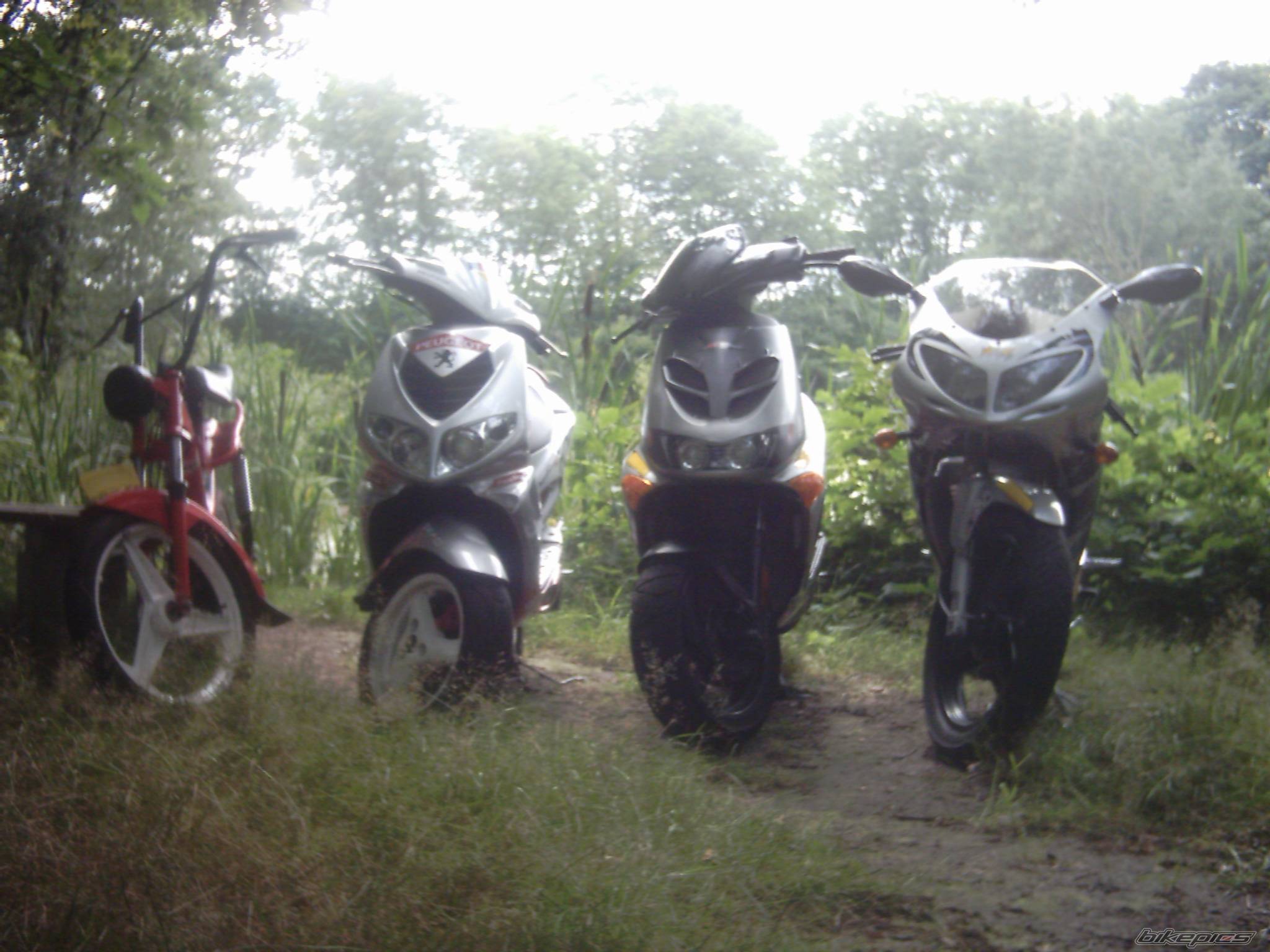 Photo 423085