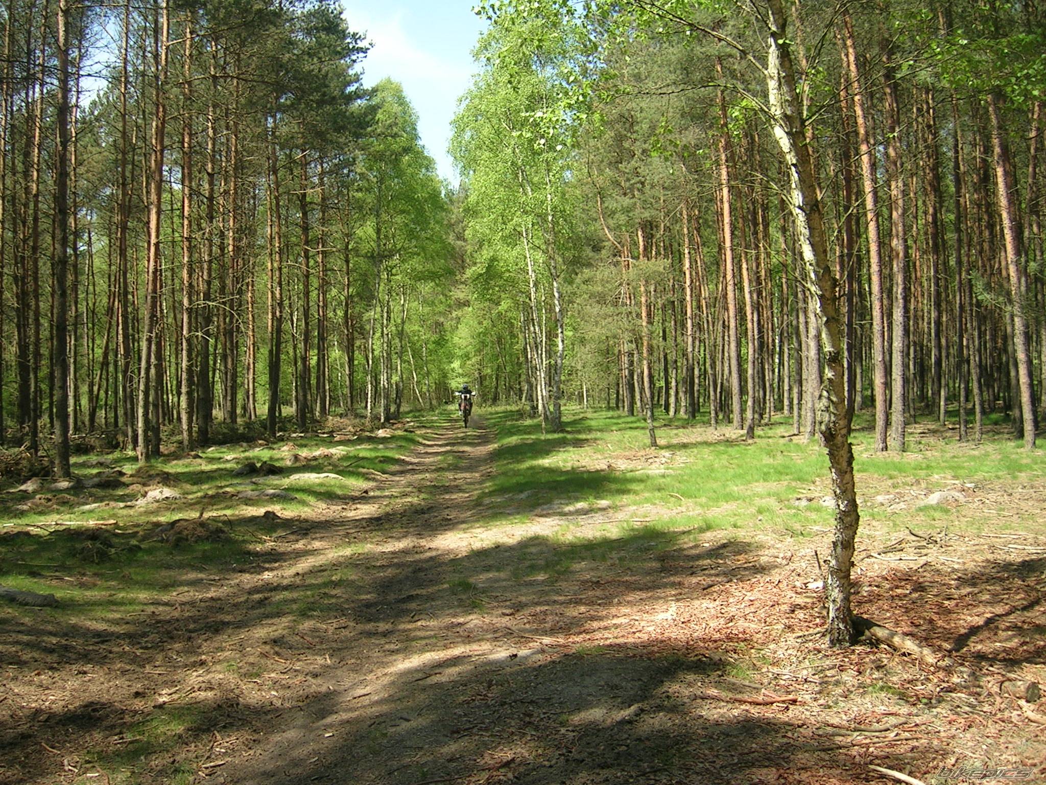 Photo 423280