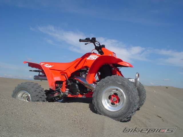 Bike Photo 423529