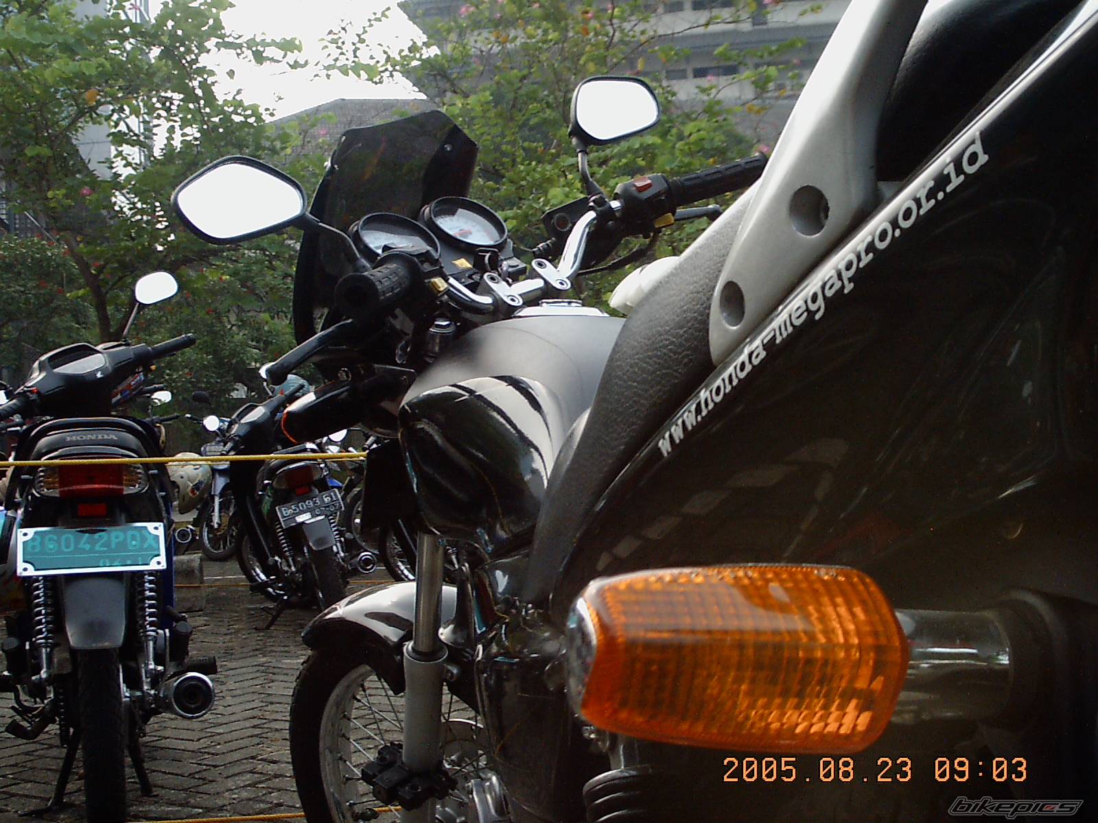 Photo 423553