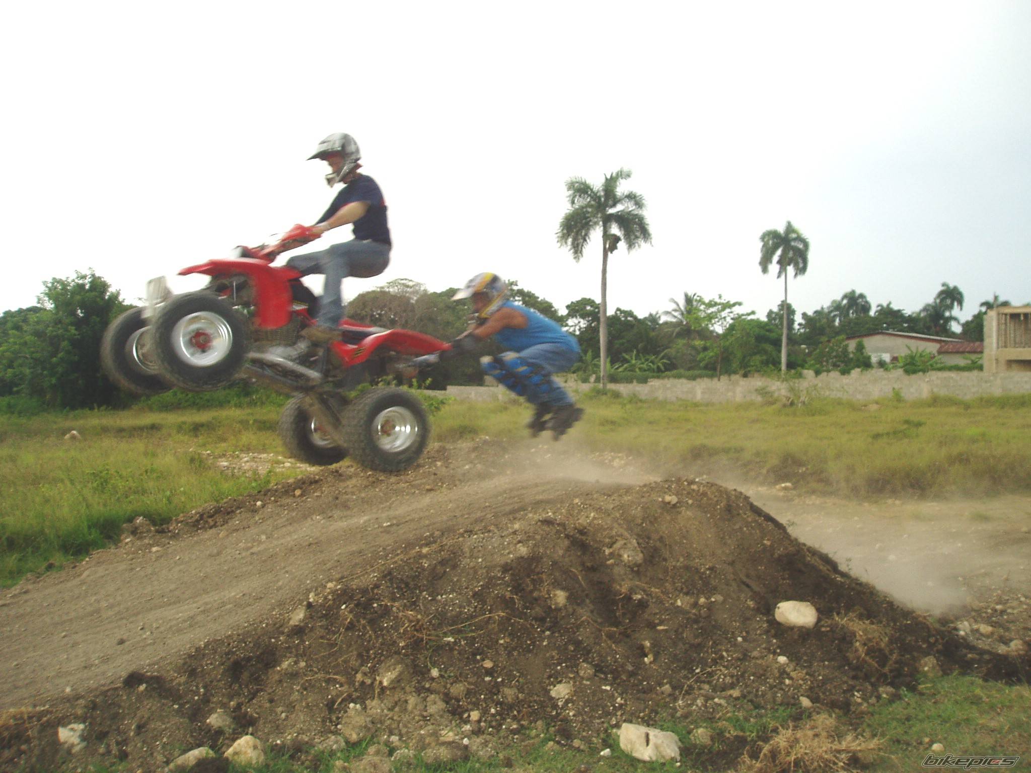 Photo 423554