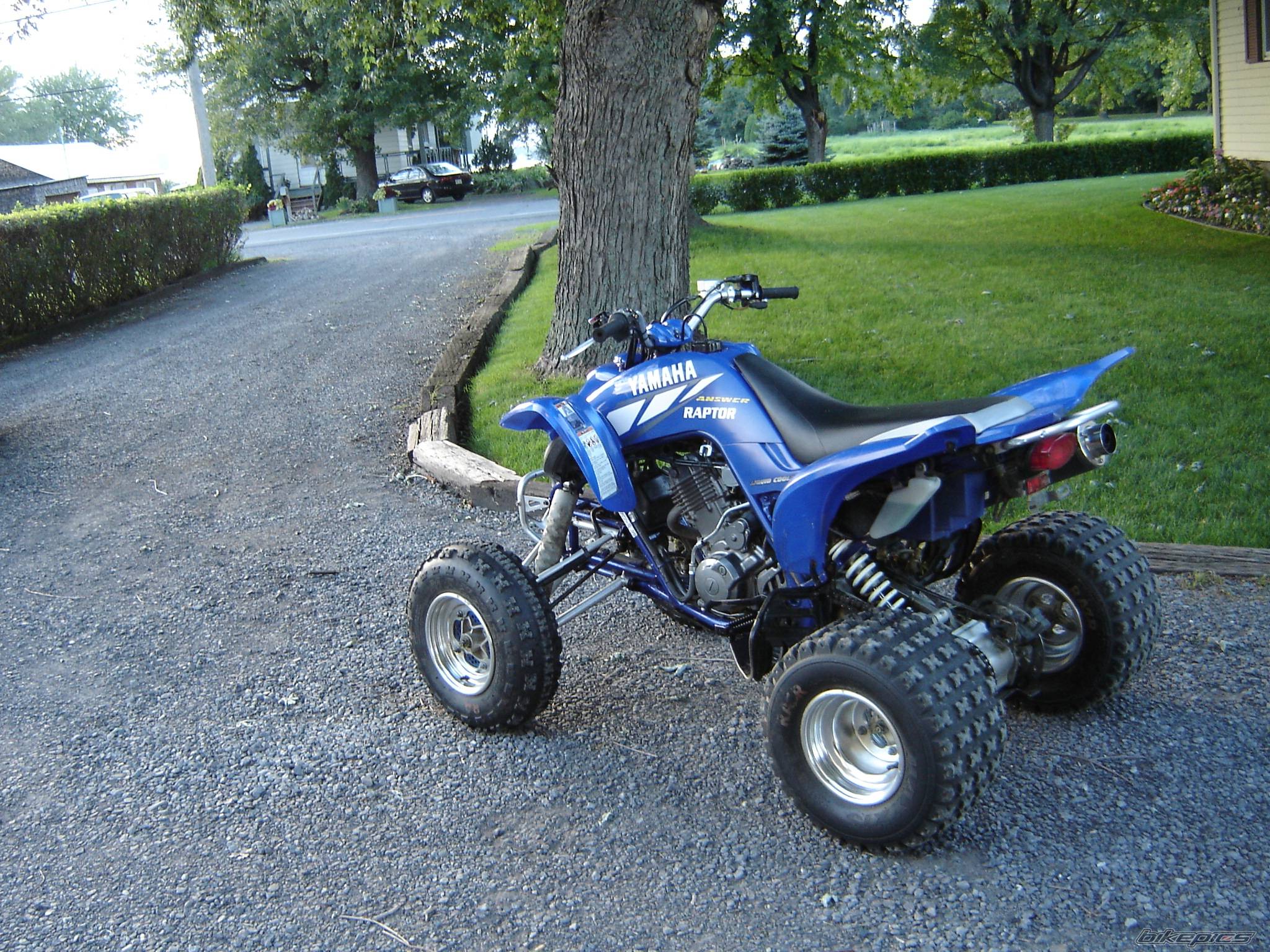 Photo 423589