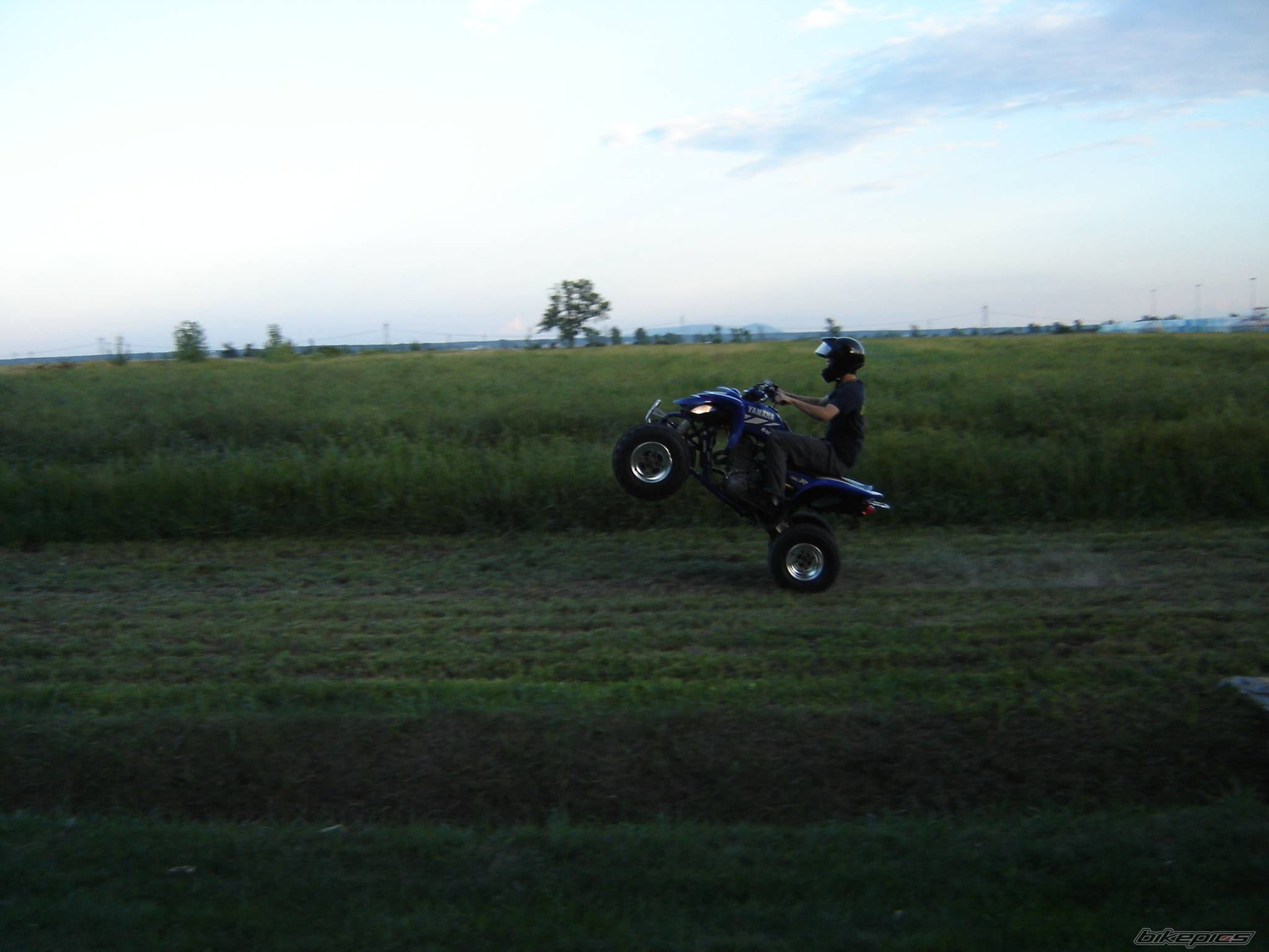 Photo 423594