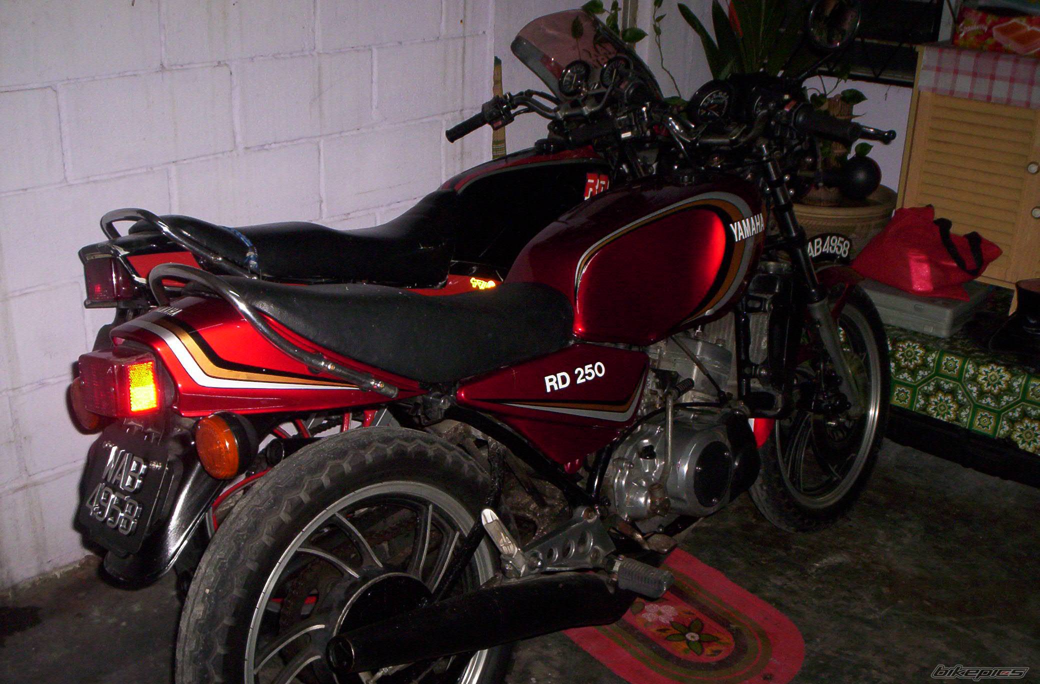 Photo 423667