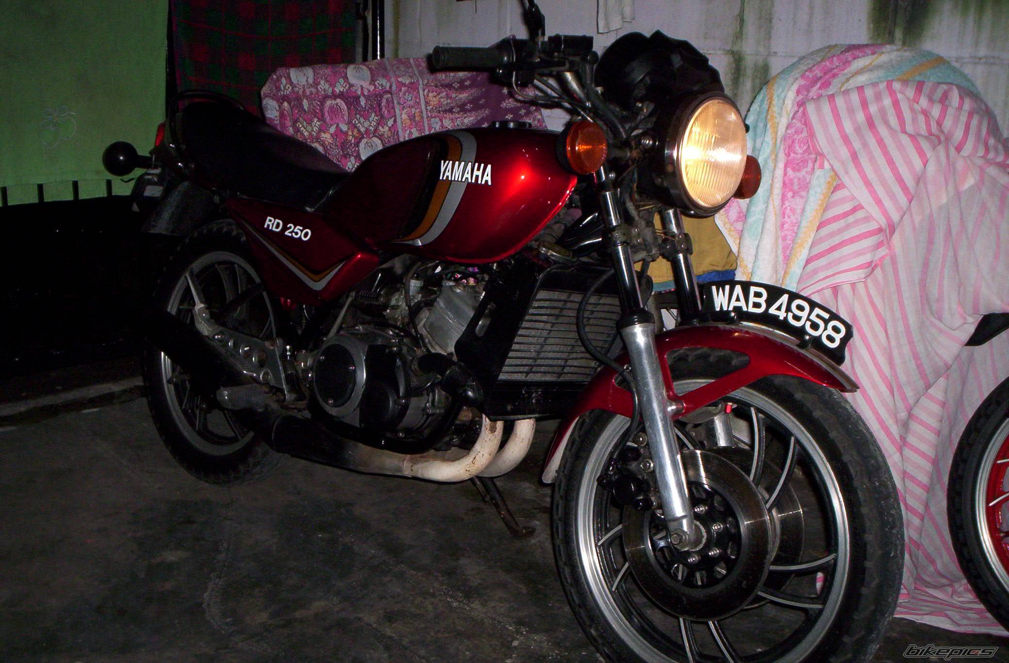 Photo 423669
