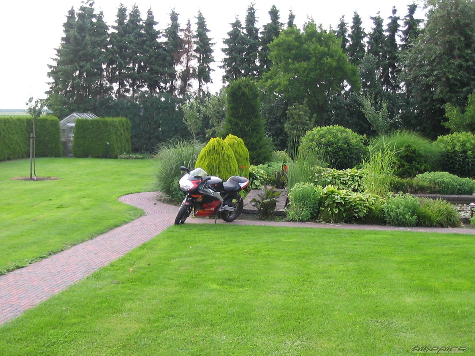 Bike Photo 423813