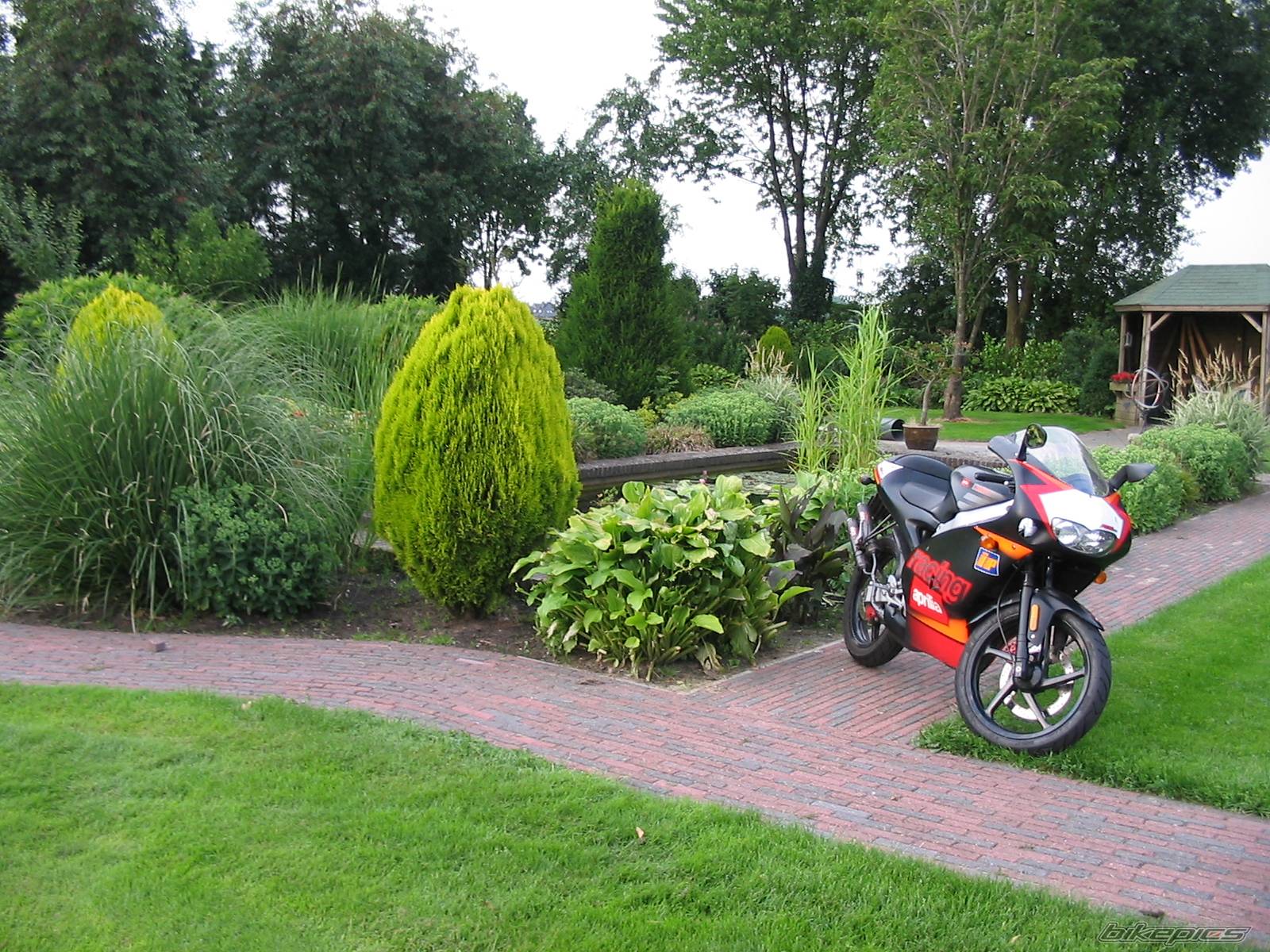 Bike Photo 423816