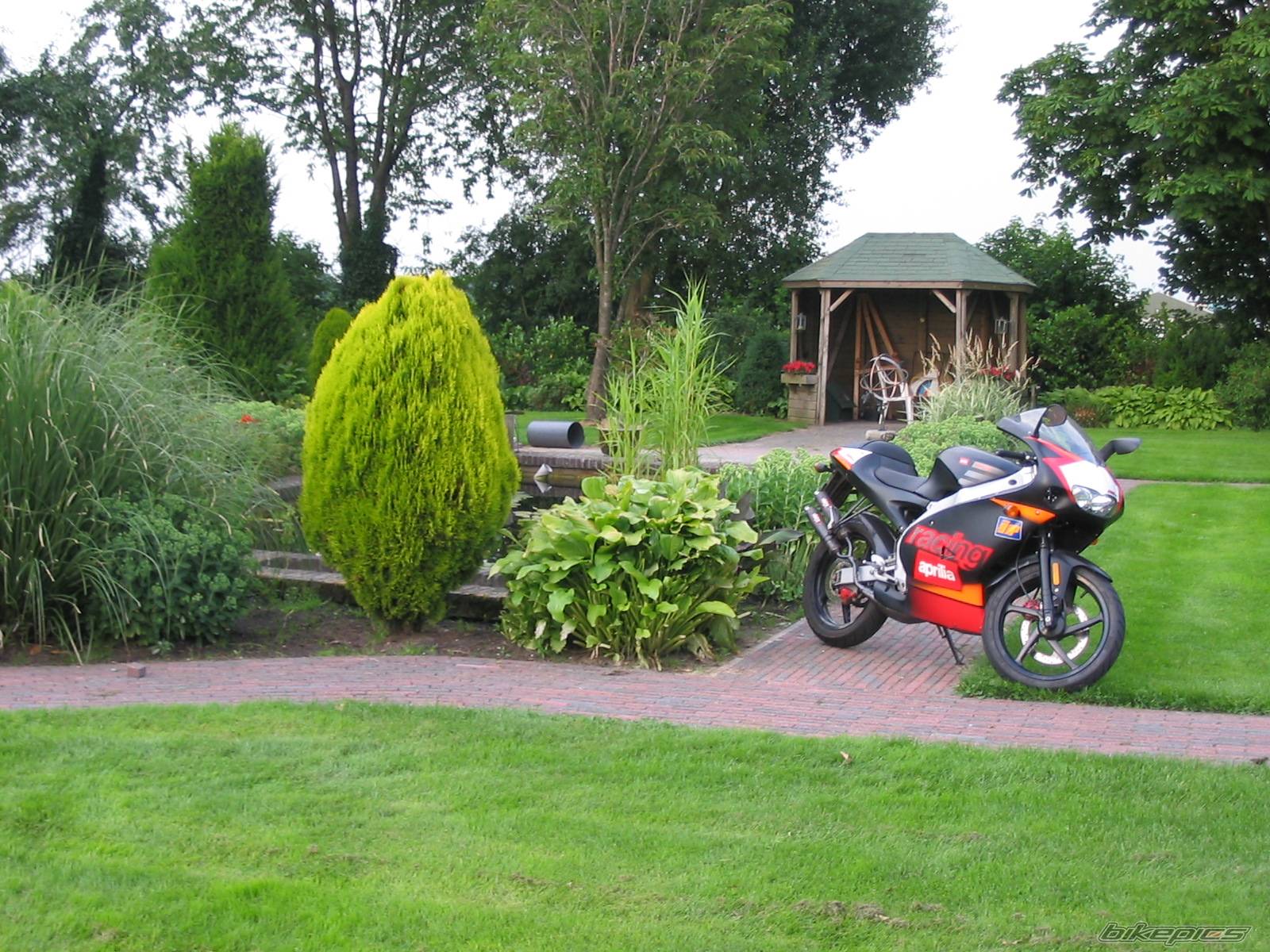 Bike Photo 423818