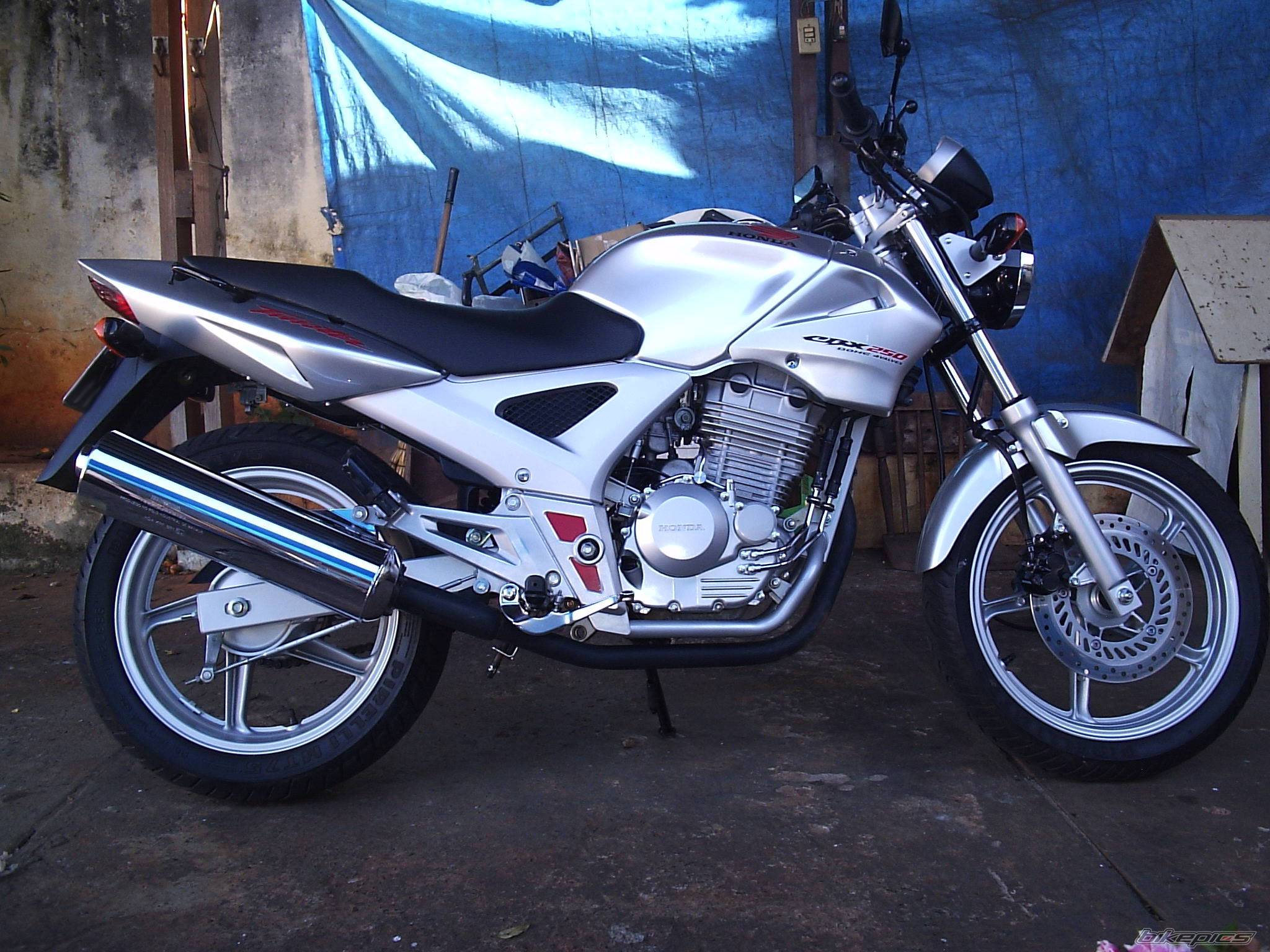 Photo 423942