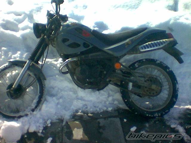 Photo 423998