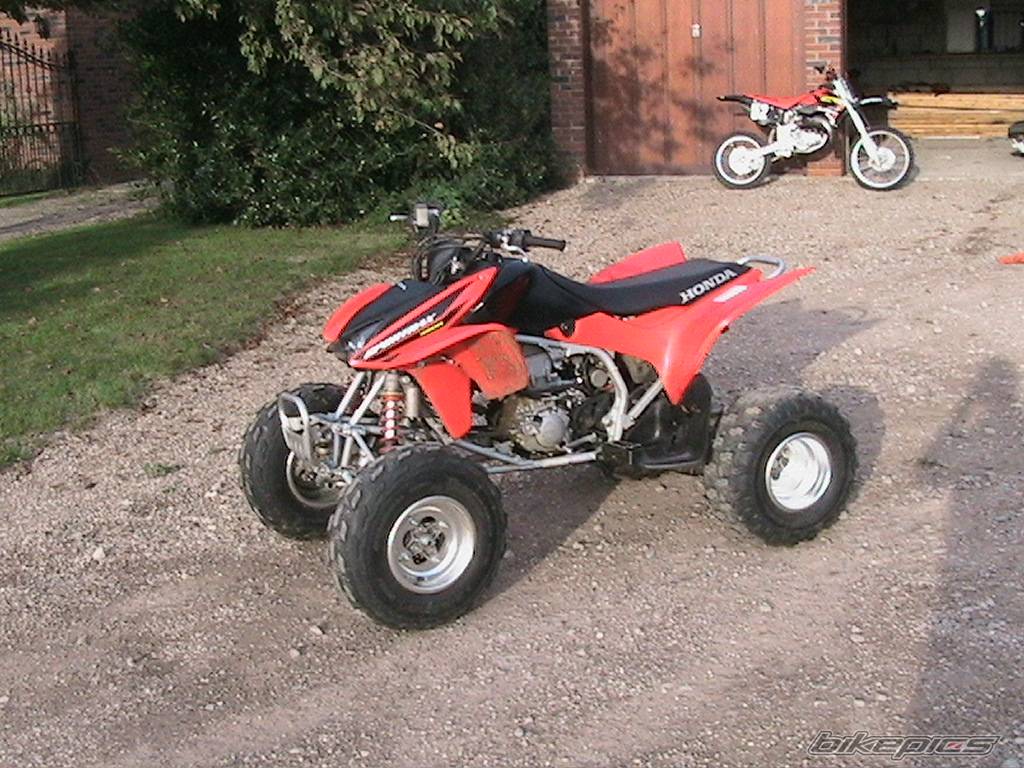 Photo 424124